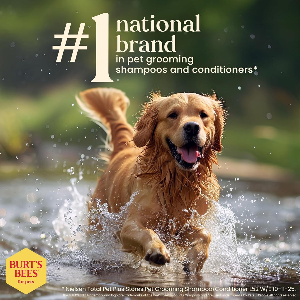 Waterless Shampoo Spray for Dogs, Apple & Honey, No-Rinse Dry Dog Shampoo for All Dogs and Puppies, Ph Balanced, No Sulfates, Parabens, Phthalates, 10 Fl Oz