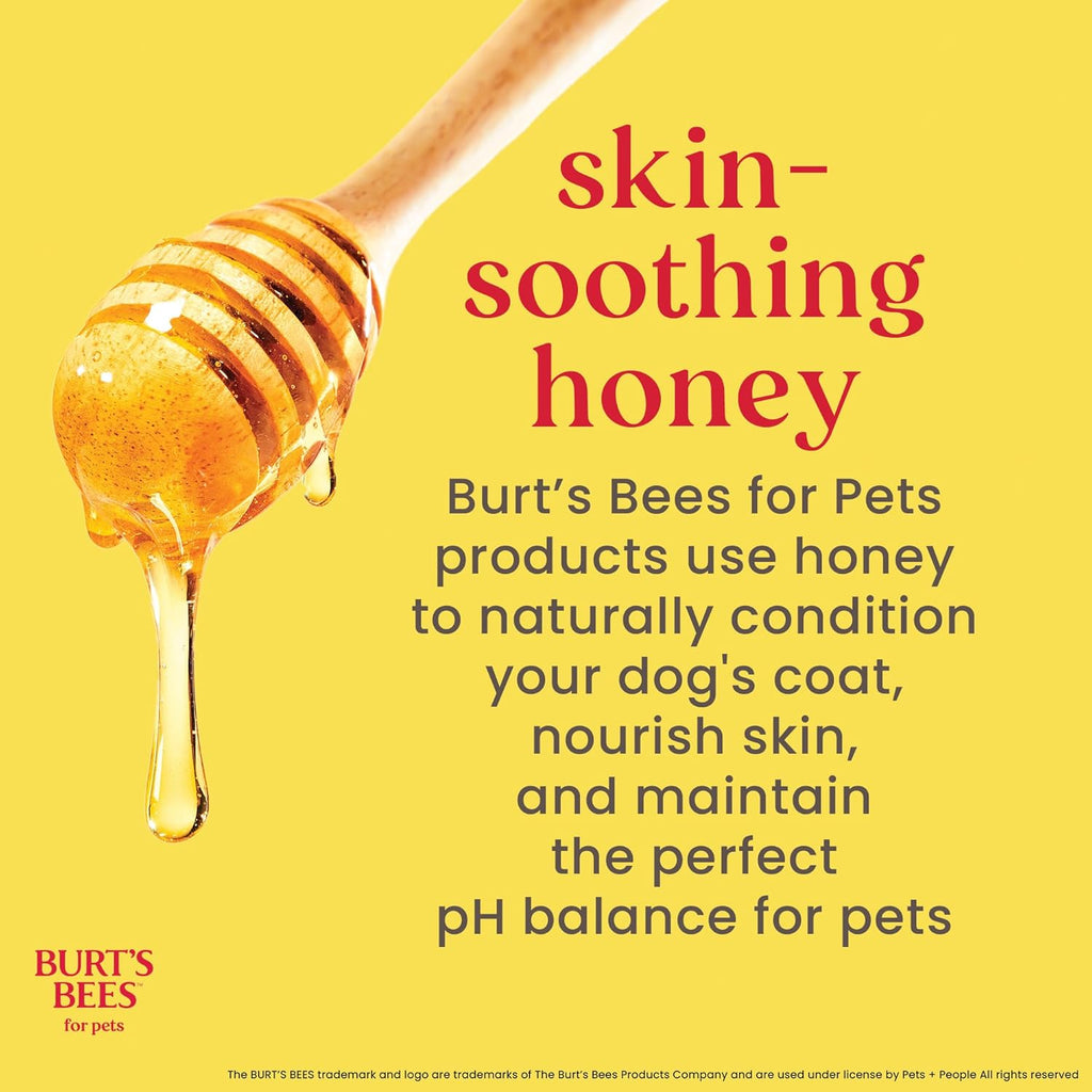 Waterless Shampoo Spray for Dogs, Apple & Honey, No-Rinse Dry Dog Shampoo for All Dogs and Puppies, Ph Balanced, No Sulfates, Parabens, Phthalates, 10 Fl Oz